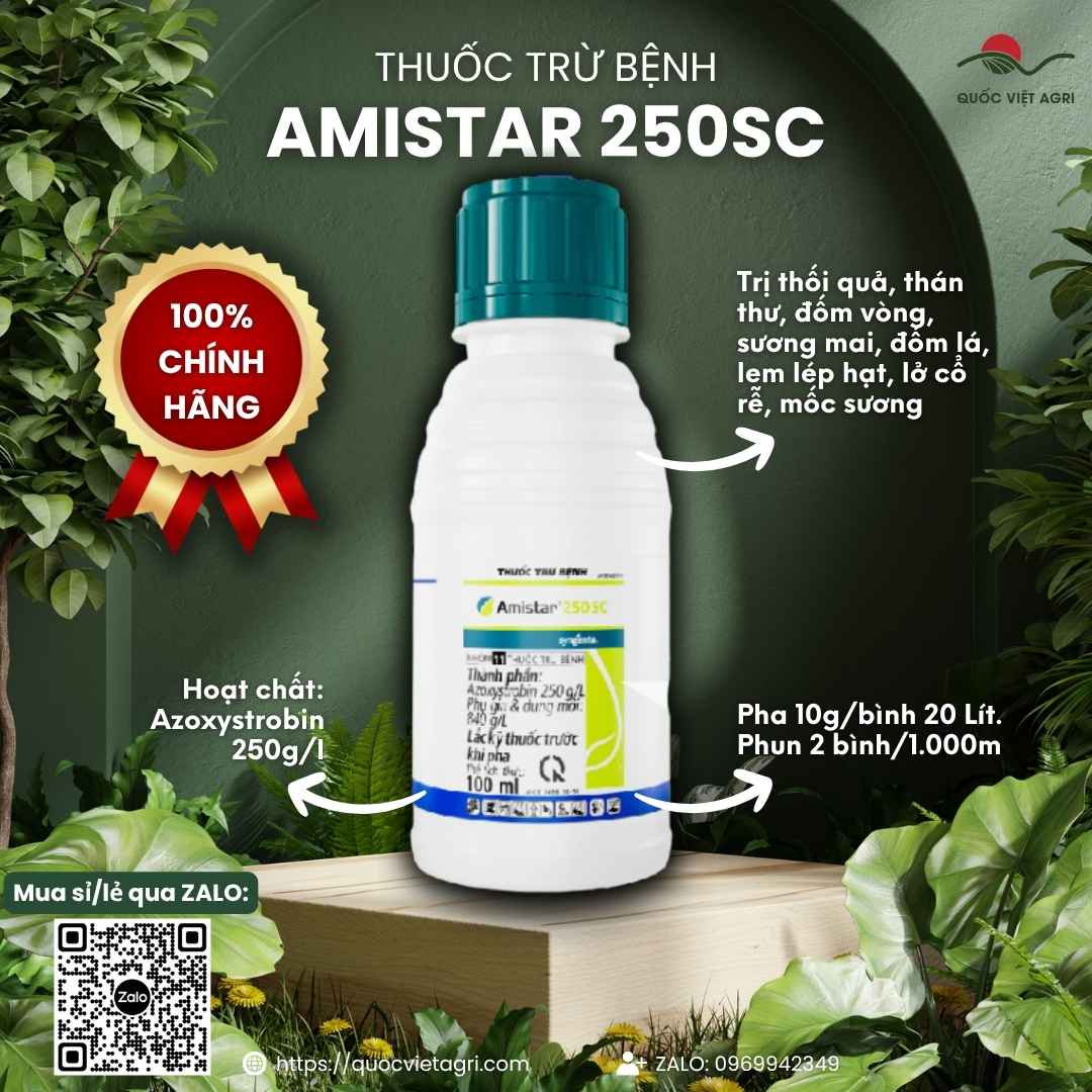 Mặt trước chai thuốc trừ bệnh Amistar 250SC 100ml Syngenta.