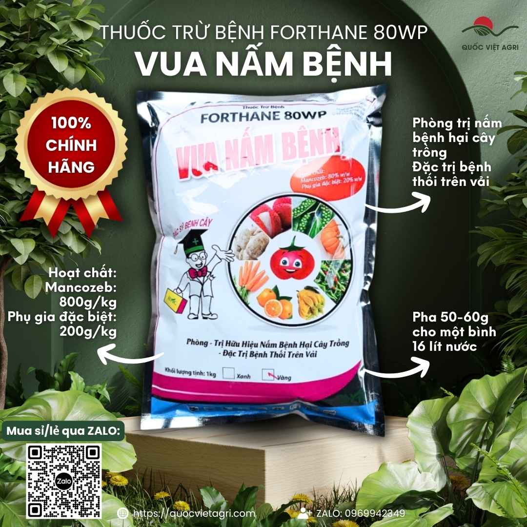 Mặt trước bao bì Vua Nấm Bệnh Forthane 80WP Mancozeb Bột Vàng.