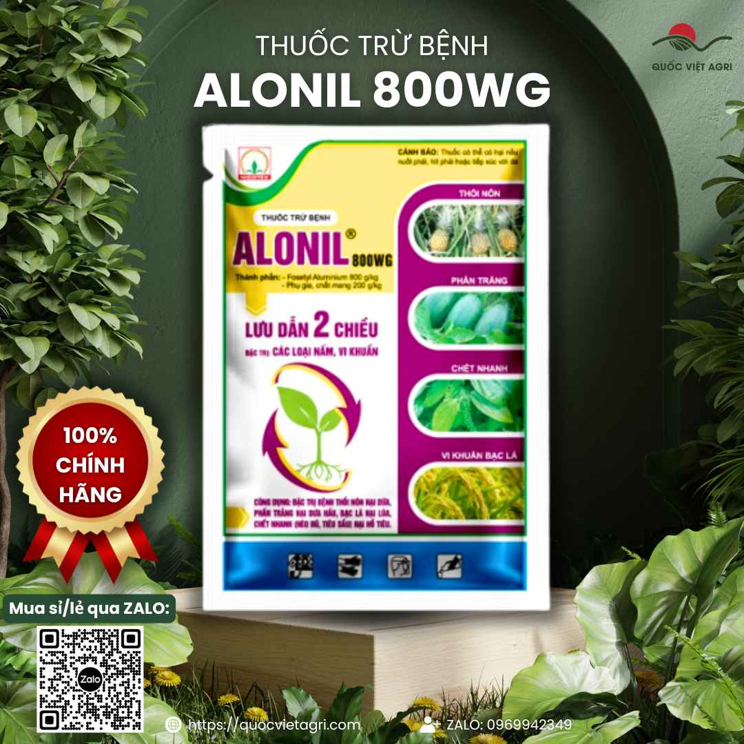 Mặt sau gói thuốc trừ bệnh Alonil 800WG 500g, chuyên dùng để đặc trị chết nhanh, bạc lá, sản phẩm lưu dẫn 2 chiều.
