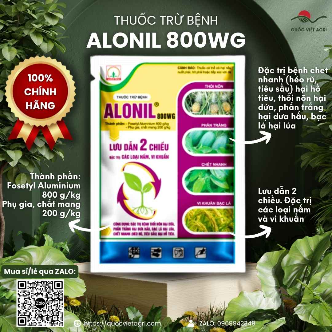 Mặt trước gói thuốc trừ bệnh Alonil 800WG 500g, chuyên dùng để đặc trị chết nhanh, bạc lá, sản phẩm lưu dẫn 2 chiều.


