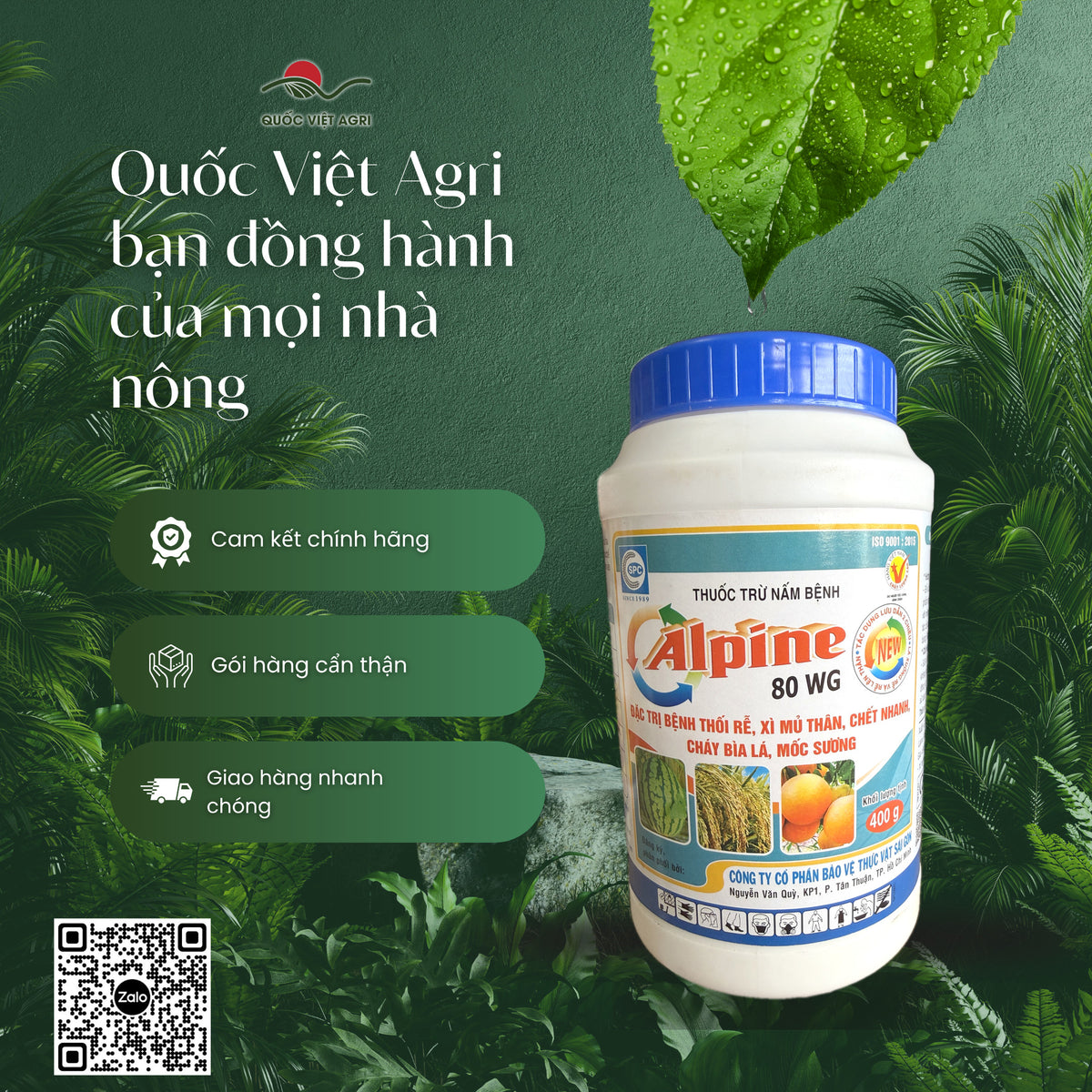 Thuốc trừ bệnh Alpine 80WG hũ 400g – Fosetyl-Aluminium 80% – SPC – phân phối chính hãng bởi Quốc Việt Agri