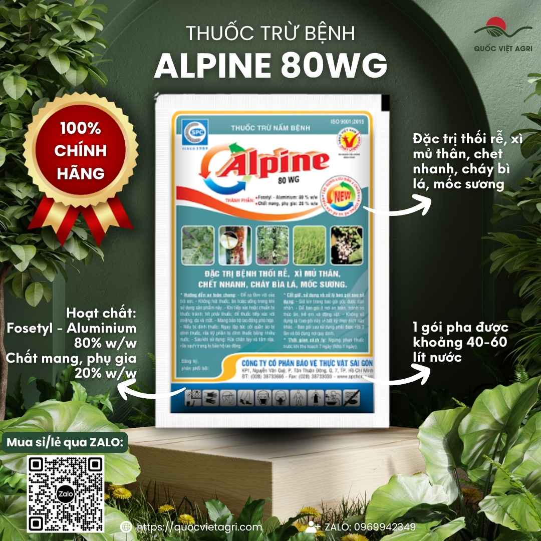  Mặt trước bao bì thuốc trừ bệnh Alpine 80WG 100g trị thối rễ xì mủ.