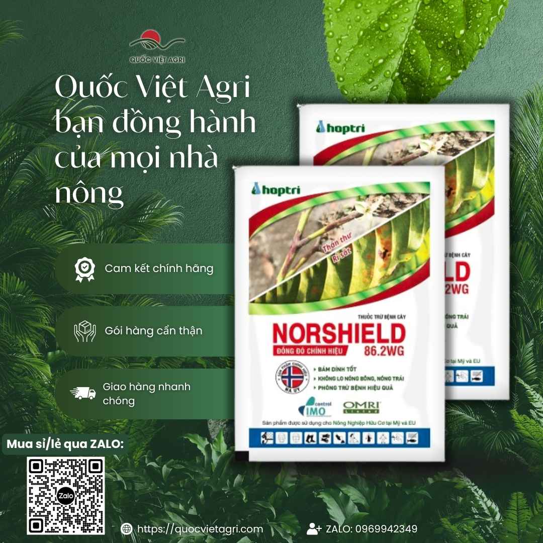 Hình ảnh tổng quan sản phẩm thuốc trừ bệnh Norshield 86.2WG, giải pháp gốc đồng đỏ, công nghệ Na Uy, chống kháng thuốc từ Quốc Việt Agri.