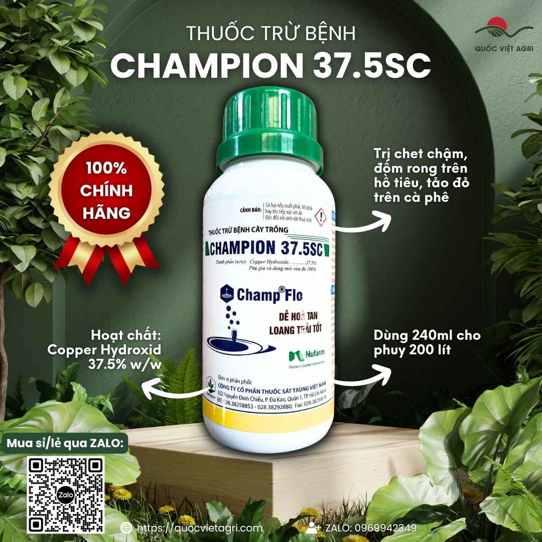 Công nghệ FLO hạt hình kim mặt sau chai thuốc Champion.