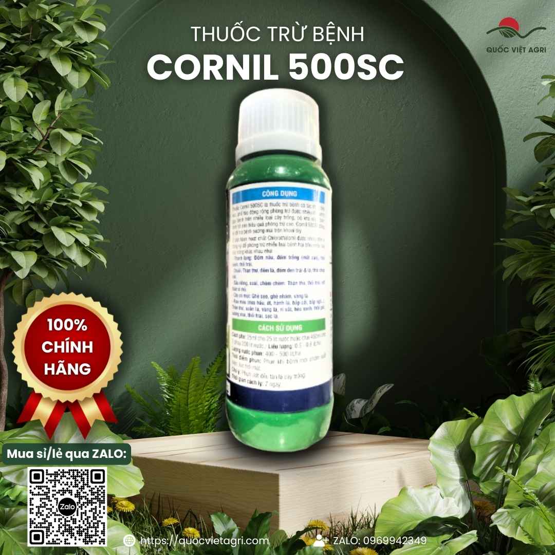 Mặt sau chai thuốc trừ bệnh Cornil 500SC 450ml, chuyên dùng để rửa bông, tẩy trái, trị sương mai, thán thư.