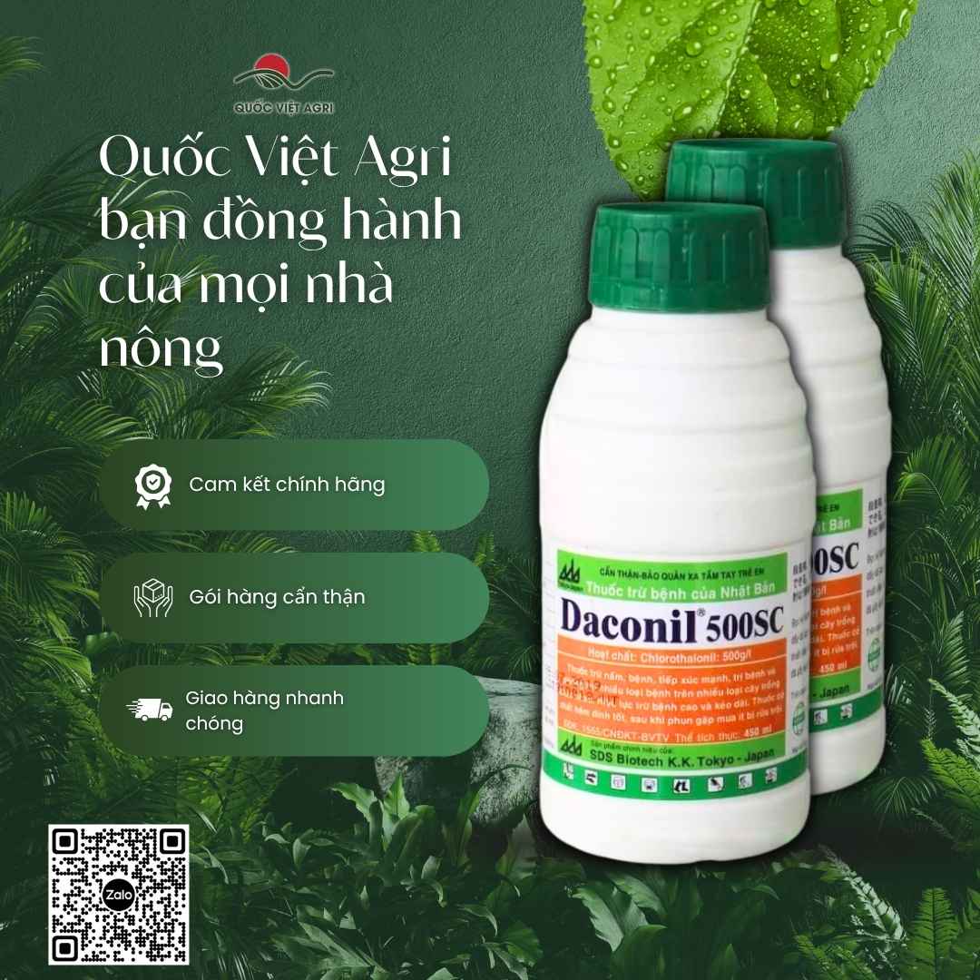 Bảng thành phần Chlorothalonil 500g/l mặt sau chai Daconil 450ml.