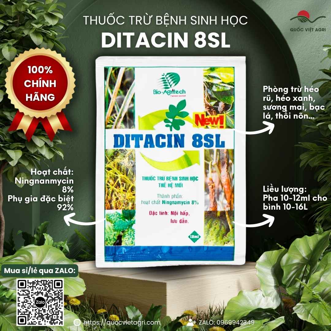 Mặt trước gói thuốc trừ bệnh sinh học Ditacin 8SL 12ml đặc trị héo xanh.
