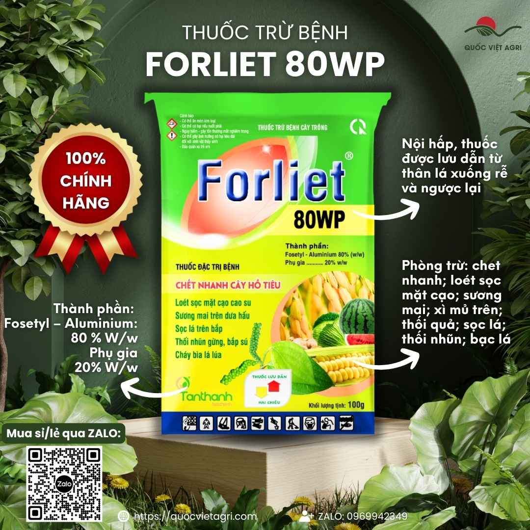Mặt trước gói Thuốc trừ bệnh FORLIET 80WP 100g đặc trị xì mủ sầu riêng.