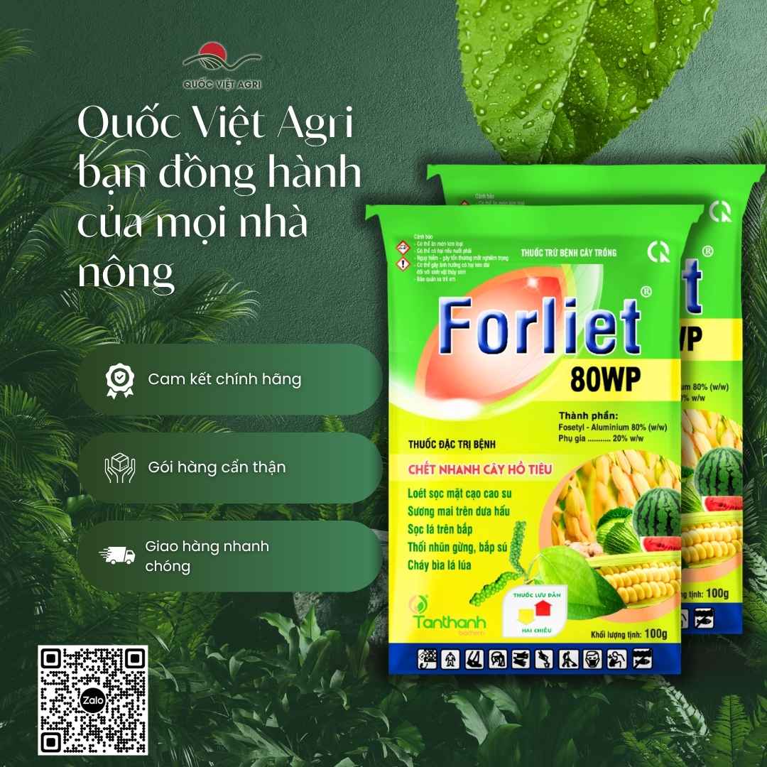 Thành phần Fosetyl-Aluminium 80% mặt sau gói Forliet 80WP lưu dẫn 2 chiều.