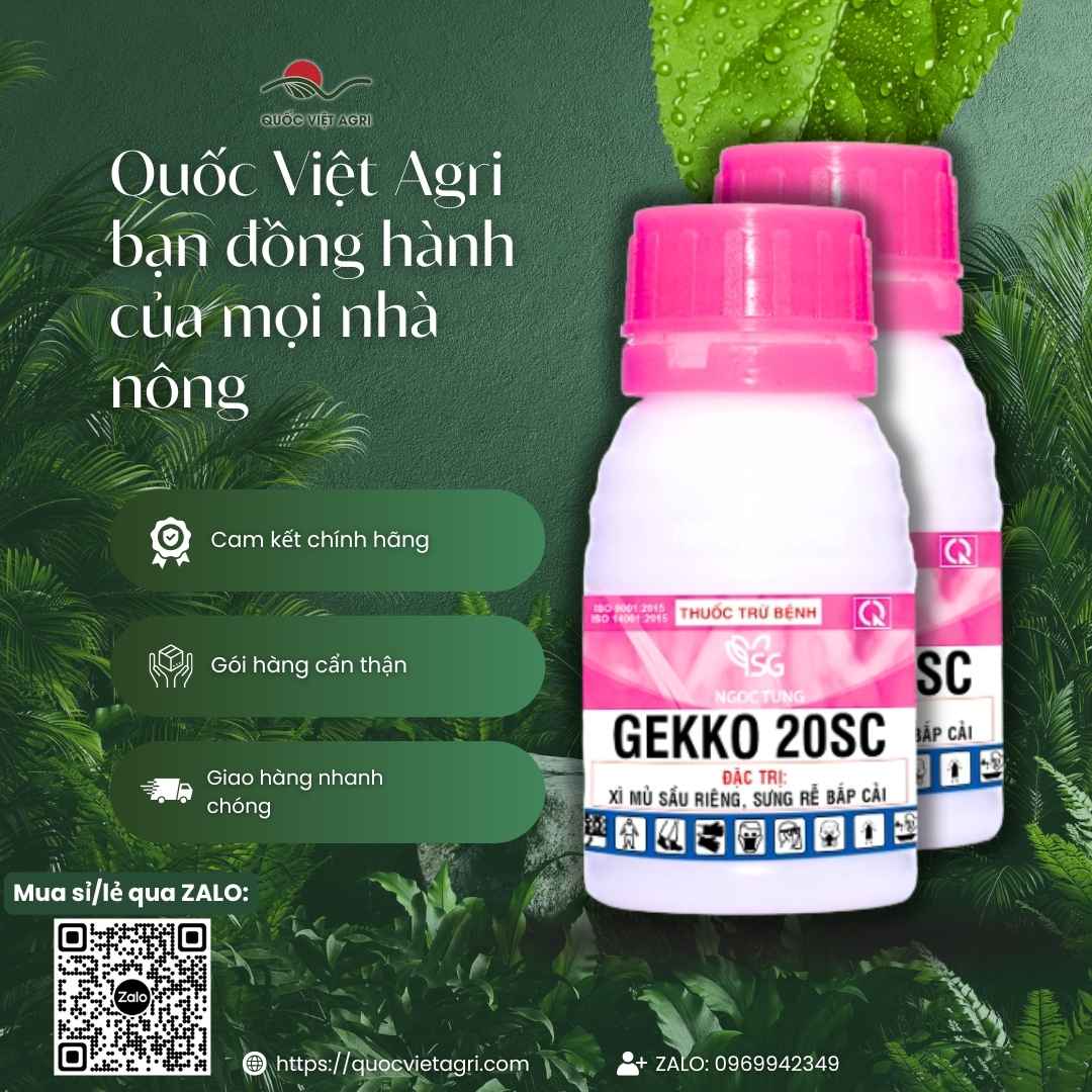 Ảnh tổng quan GEKKO 20SC với hướng dẫn nhúng rễ bắp cải và tưới gốc sầu riêng trị Phytophthora.