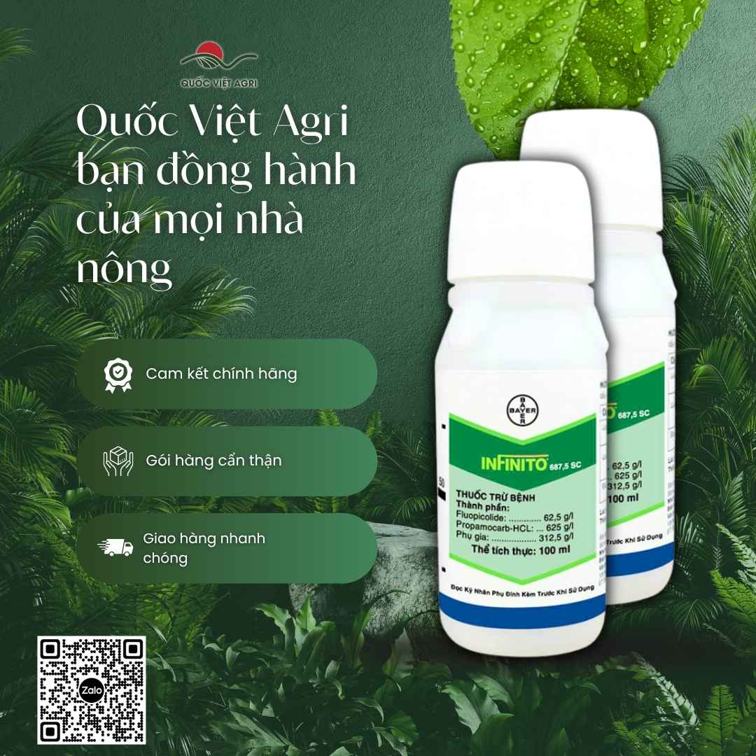 Thành phần Propamocarb và Fluopicolide mặt sau chai Infinito sương mai.