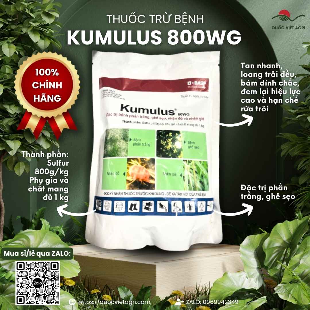 Mặt trước gói Thuốc Trừ Bệnh Kumulus 80WG 1kg, hoạt chất Sulfur 80%, trừ nhện đỏ, phấn trắng, ghẻ sẹo.