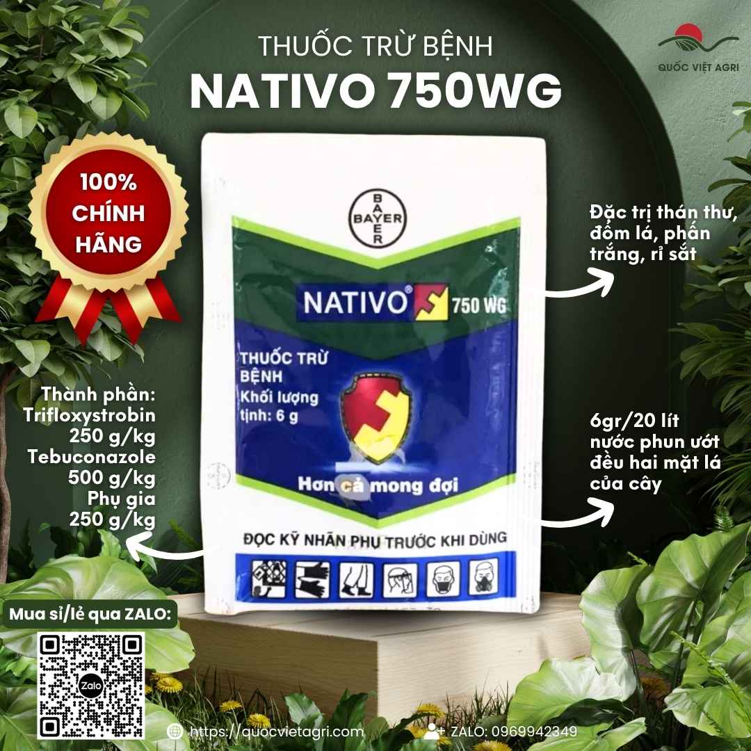 Mặt trước gói thuốc trừ bệnh NATIVO 750WG 6g, đặc trị thán thư, đốm lá, phấn trắng, rỉ sắt.
