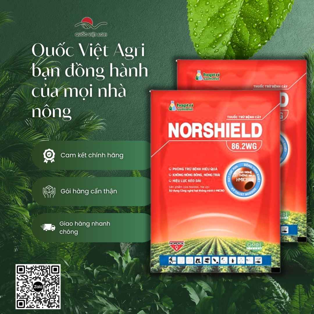 Thành phần Đồng Đỏ Cuprous Oxide 86.2% ở mặt sau gói Norshield.
