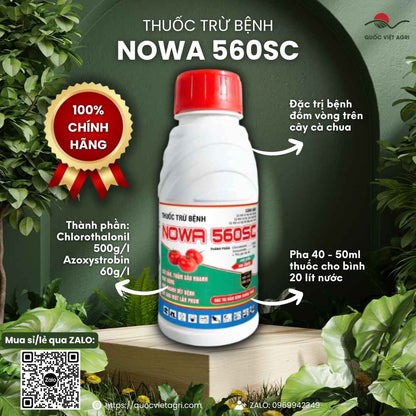 Thuốc trừ bệnh NOWA 560SC chai 450ml – trị đốm vòng, sương mai trên cà chua (Chlorothalonil + Azoxystrobin) – Quốc Việt Agri