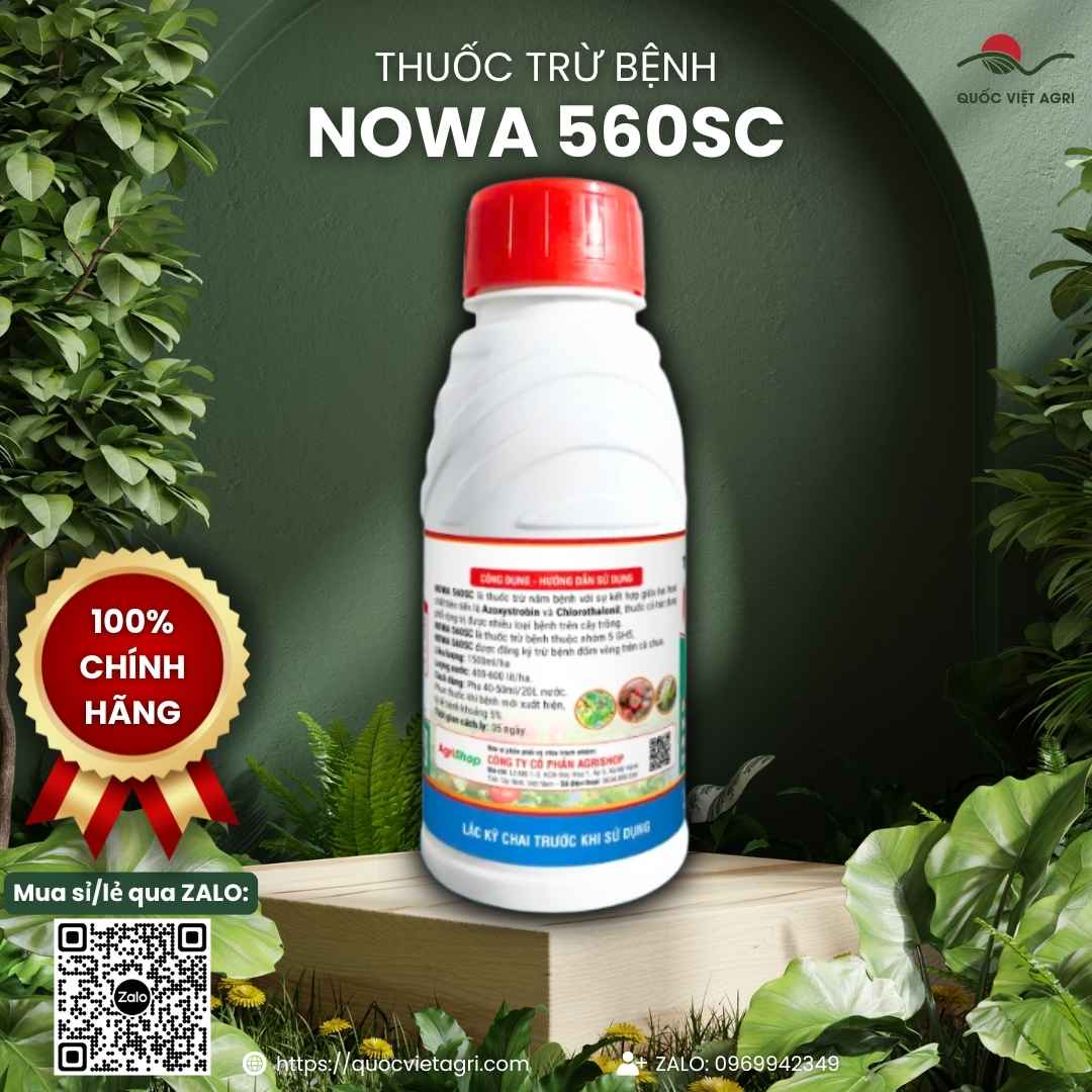 Chai NOWA 560SC 450ml – thuốc trừ bệnh phổ rộng cho rau màu, cây ăn trái