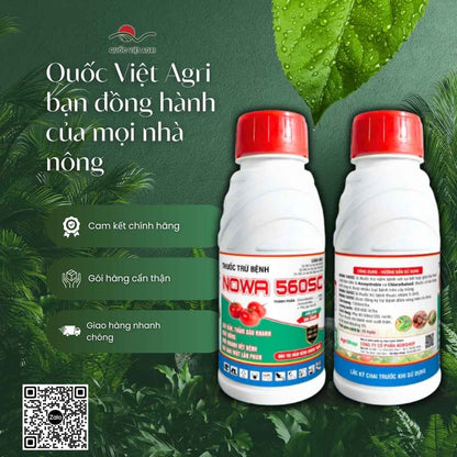 NOWA 560SC – tác động kép tiếp xúc và nội hấp, vừa phòng vừa trị nấm bệnh