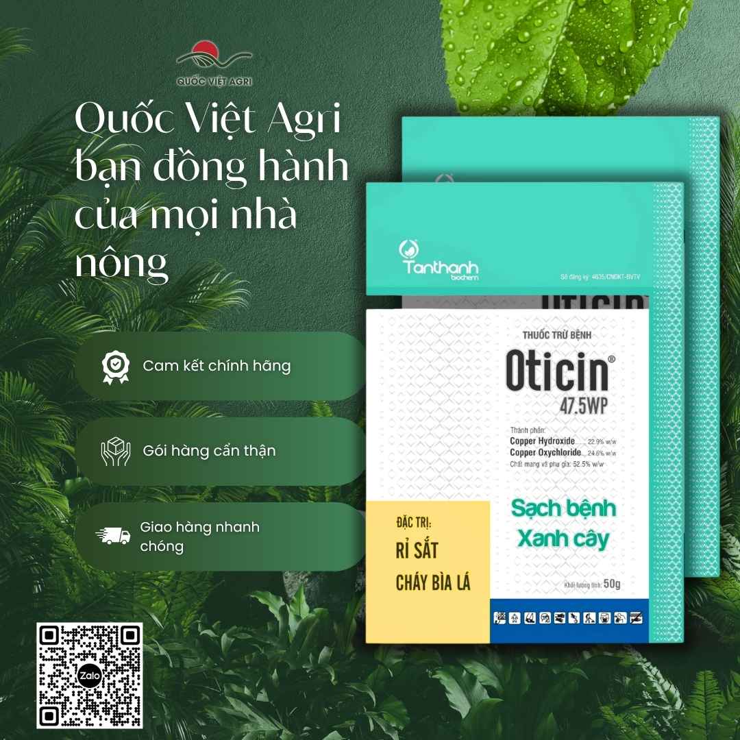 Bảng thành phần Hydroxide và Oxychloride mặt sau gói Oticin 47.5WP.