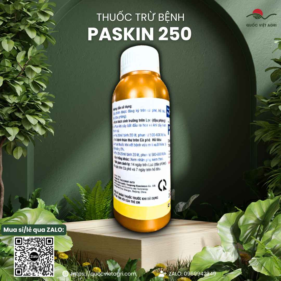 Mặt sau chai thuốc trừ bệnh Paskin 250 (Pyrolax 250EC) 240ml, chuyên dùng để trị thán thư, sương mai, sản phẩm chính hãng.