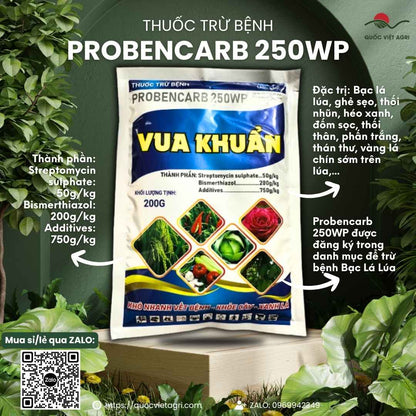 Mặt trước gói thuốc trừ bệnh Probencarb 250WP Vua Khuẩn 200g, chuyên dùng để đặc trị bạc lá, héo xanh, sản phẩm chính hãng.

