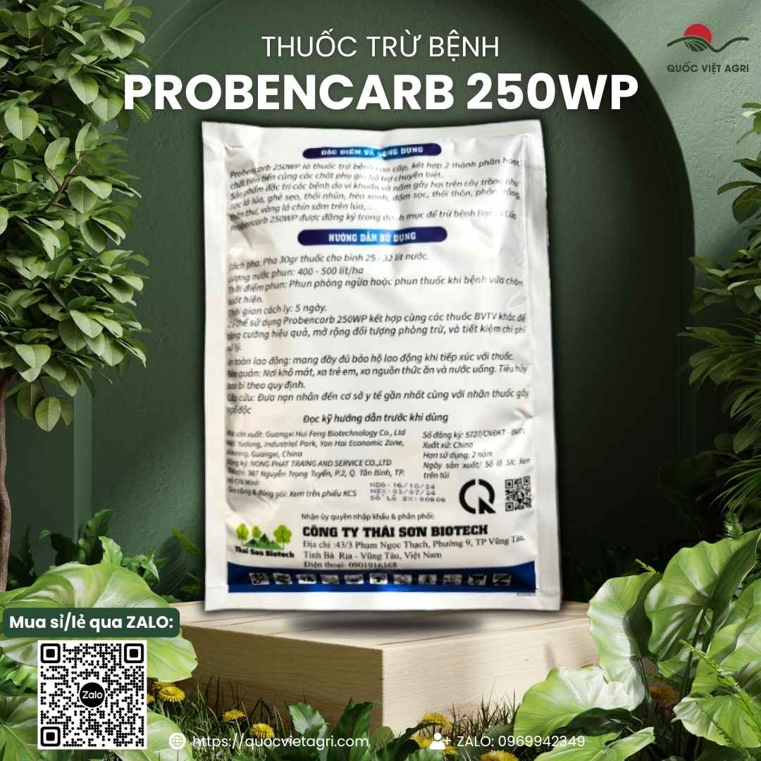 Mặt sau gói thuốc trừ bệnh Probencarb 250WP Vua Khuẩn 200g, chuyên dùng để đặc trị bạc lá, héo xanh, sản phẩm chính hãng.

