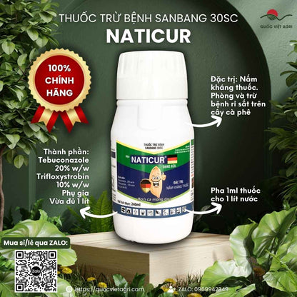 Thuốc trừ bệnh SANBANG 30SC Naticur chai 240ml – trị đạo ôn, thán thư, lem lép hạt (Tebuconazole + Trifloxystrobin) – Quốc Việt Agri