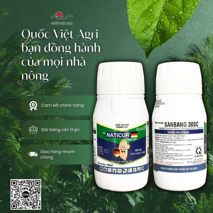 SANBANG 30SC – bảo vệ bông lúa, giảm lem lép hạt, hiệu lực kéo dài