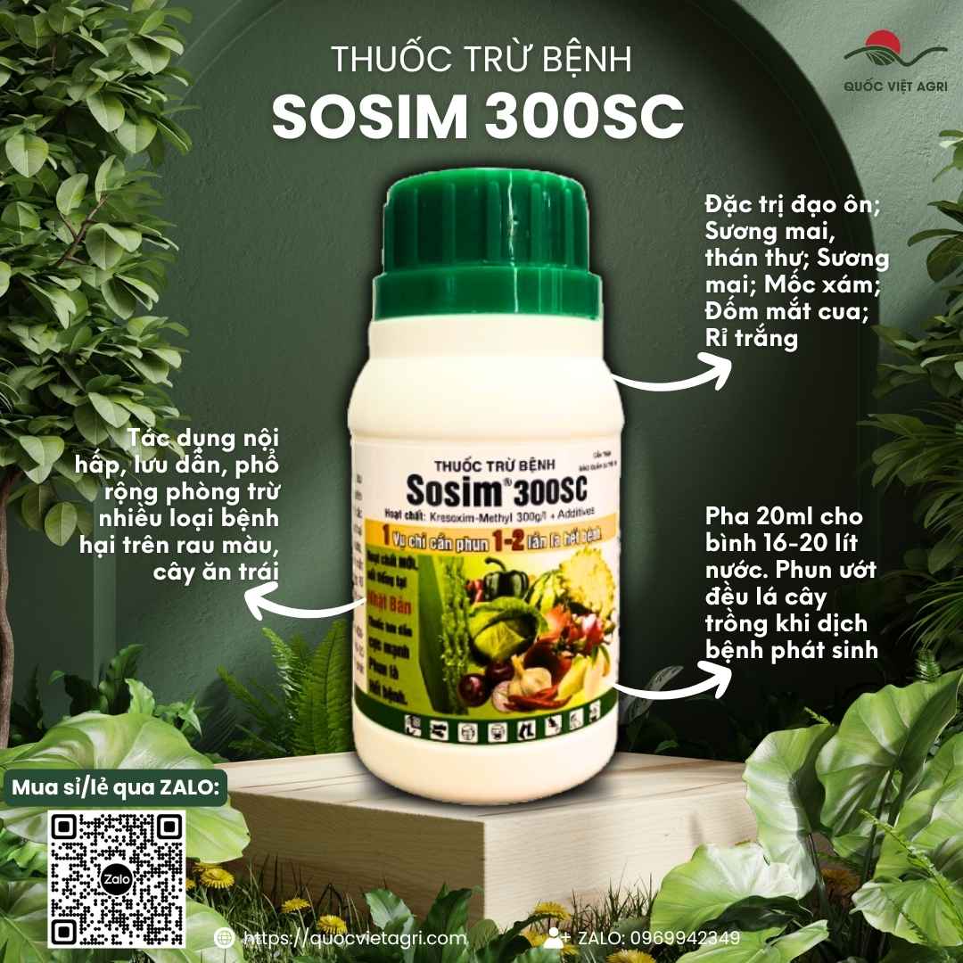 Mặt trước chai thuốc trừ bệnh Sosim 300SC 240ml, chuyên dùng để trị sương mai, thán thư trên rau màu, sản phẩm chính hãng VITHACO.

