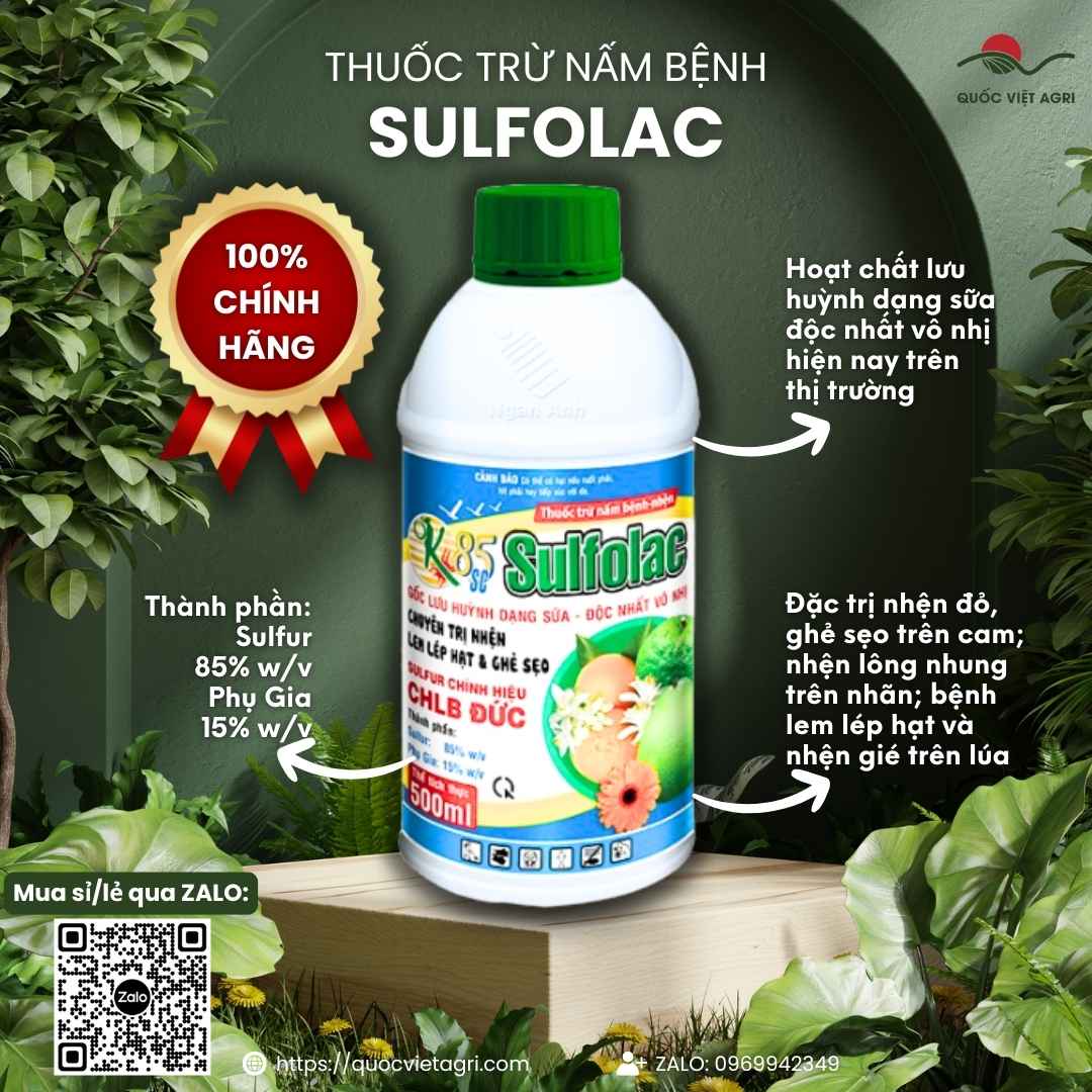 Mặt trước chai Thuốc trừ nhện OK SULFOLAC 85SC 500ml, lưu huỳnh dạng sữa từ Đức.
