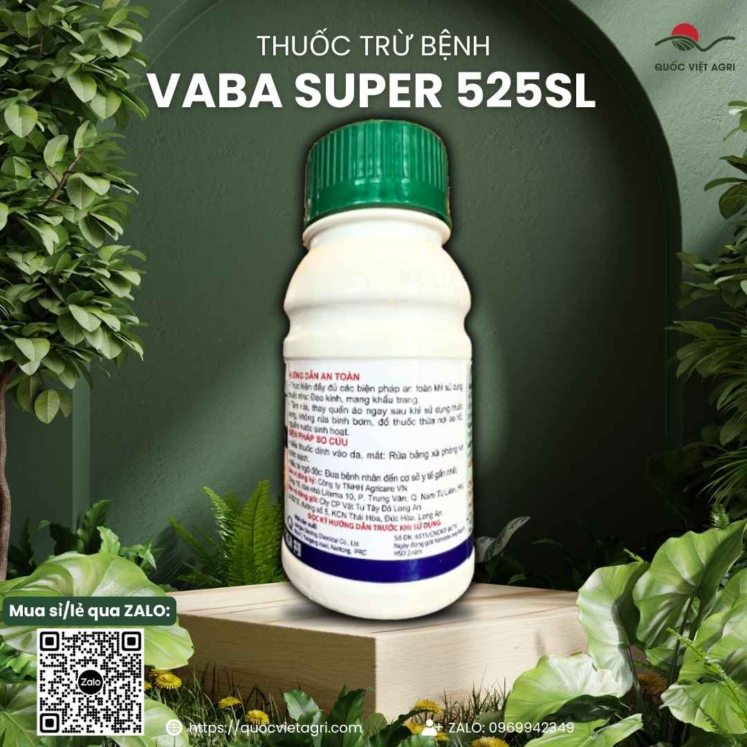 Bảng thành phần Kasugamycin và Propamocarb dập dịch bệnh thần tốc.