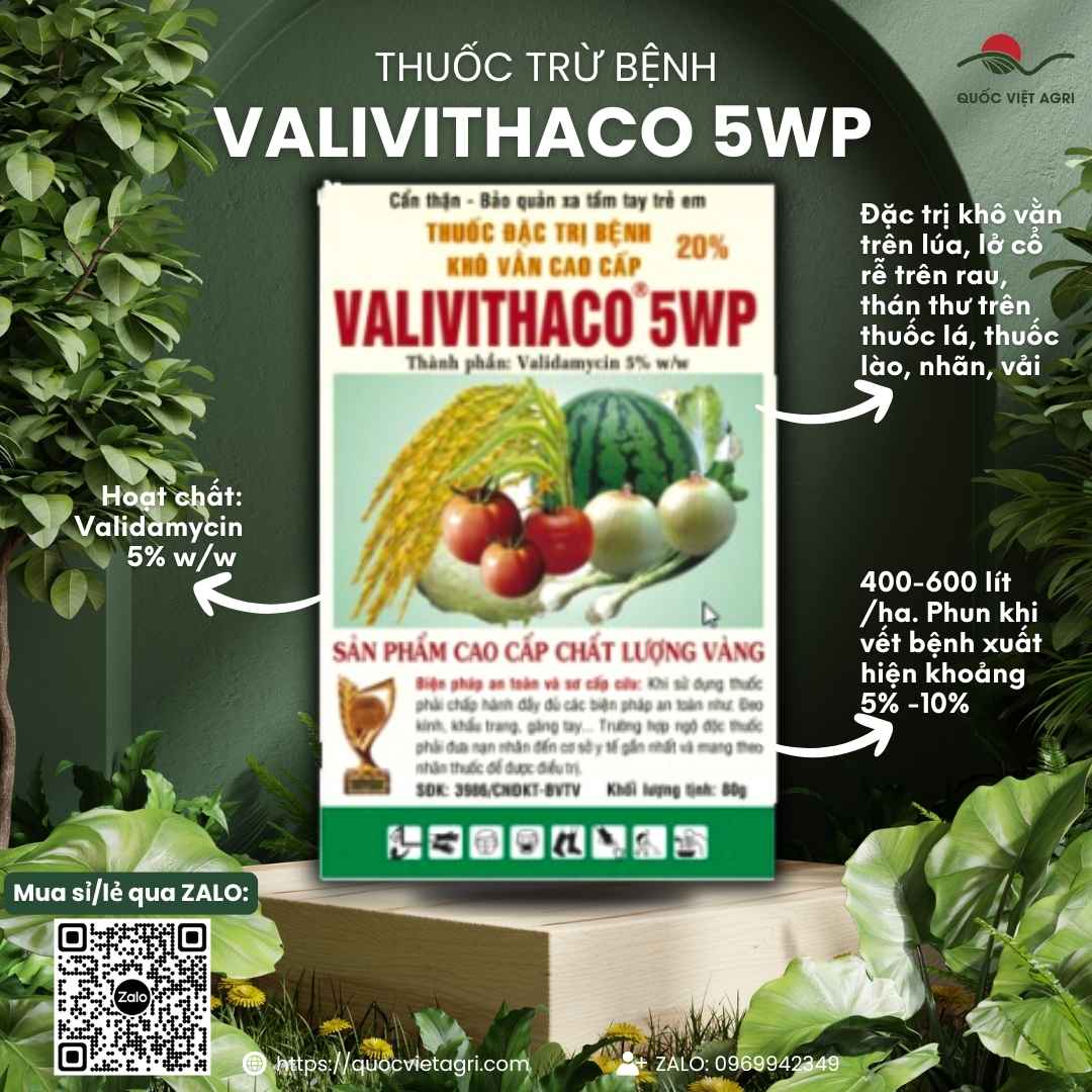 Mặt trước gói thuốc trừ bệnh Valivithaco 5WP 20g đặc trị khô vằn.