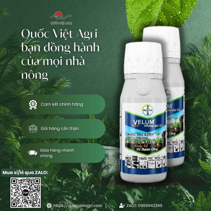 Hoạt chất Fluopyram 400g/l đặc trị tuyến trùng sưng rễ ở mặt sau chai.
