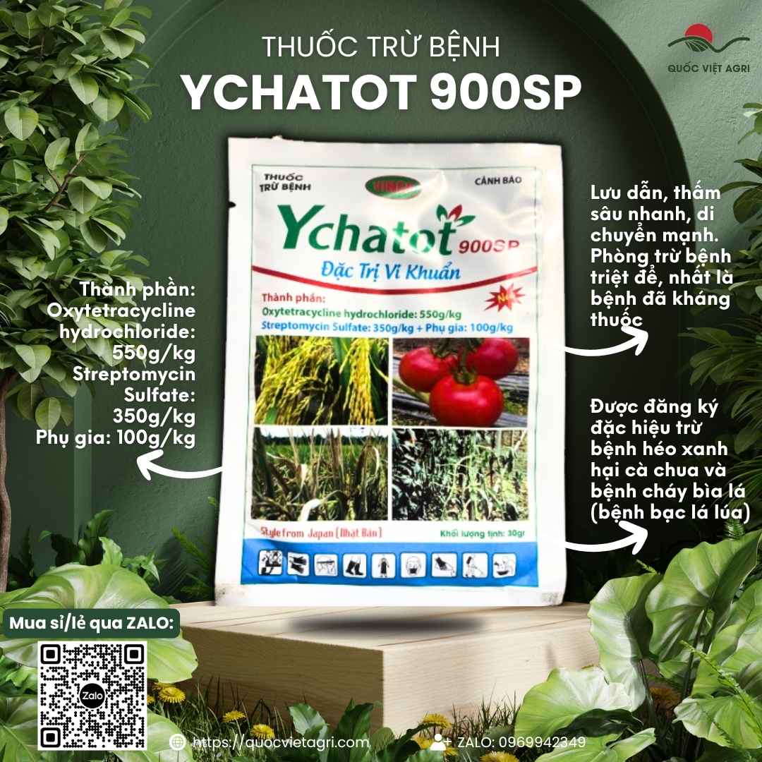 Mặt trước gói thuốc trừ khuẩn Ychatot 900SP 30g, chuyên dùng để đặc trị bạc lá, héo xanh, sản phẩm chính hãng của Vinco.

