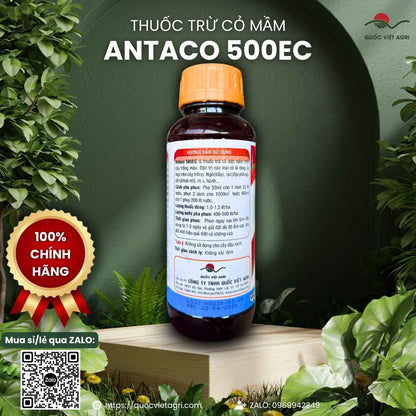 Mặt sau chai Antaco 500EC với hoạt chất Acetochlor và hướng dẫn phun mầm.