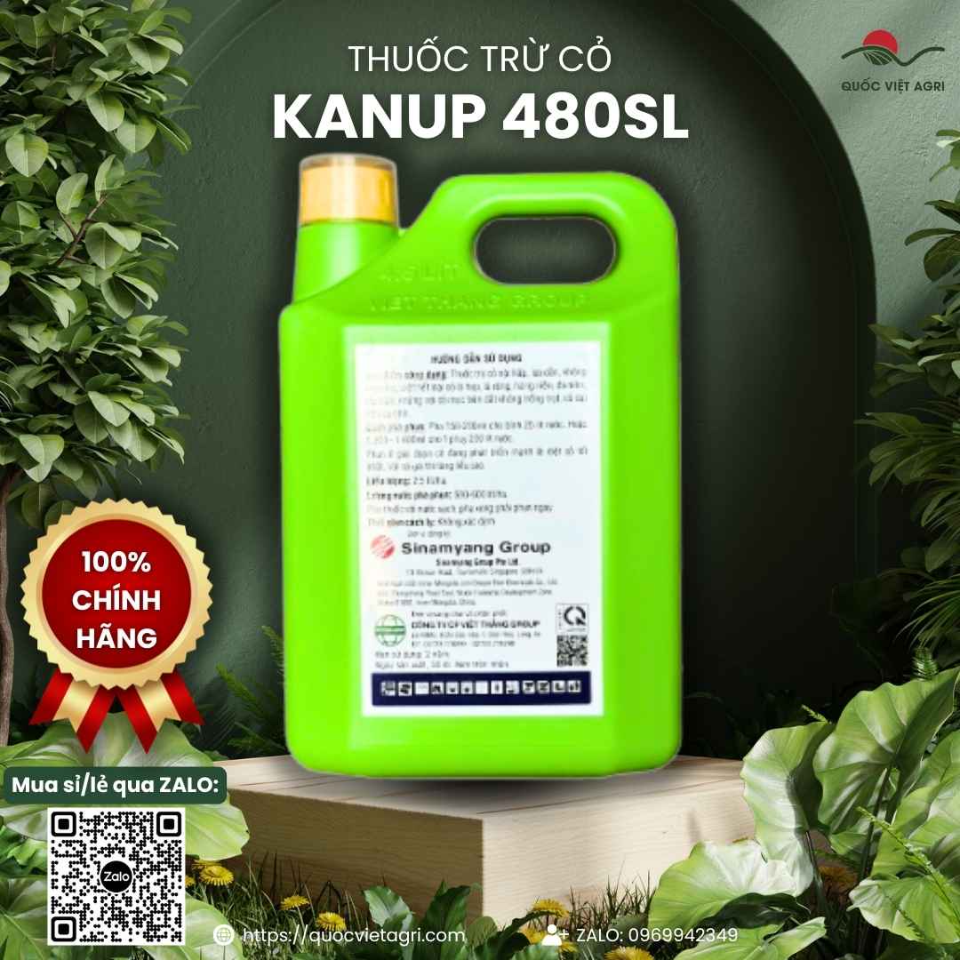 Thành phần Glufosinate ammonium 200g/l mặt sau can Kanup diệt cỏ rễ sâu.