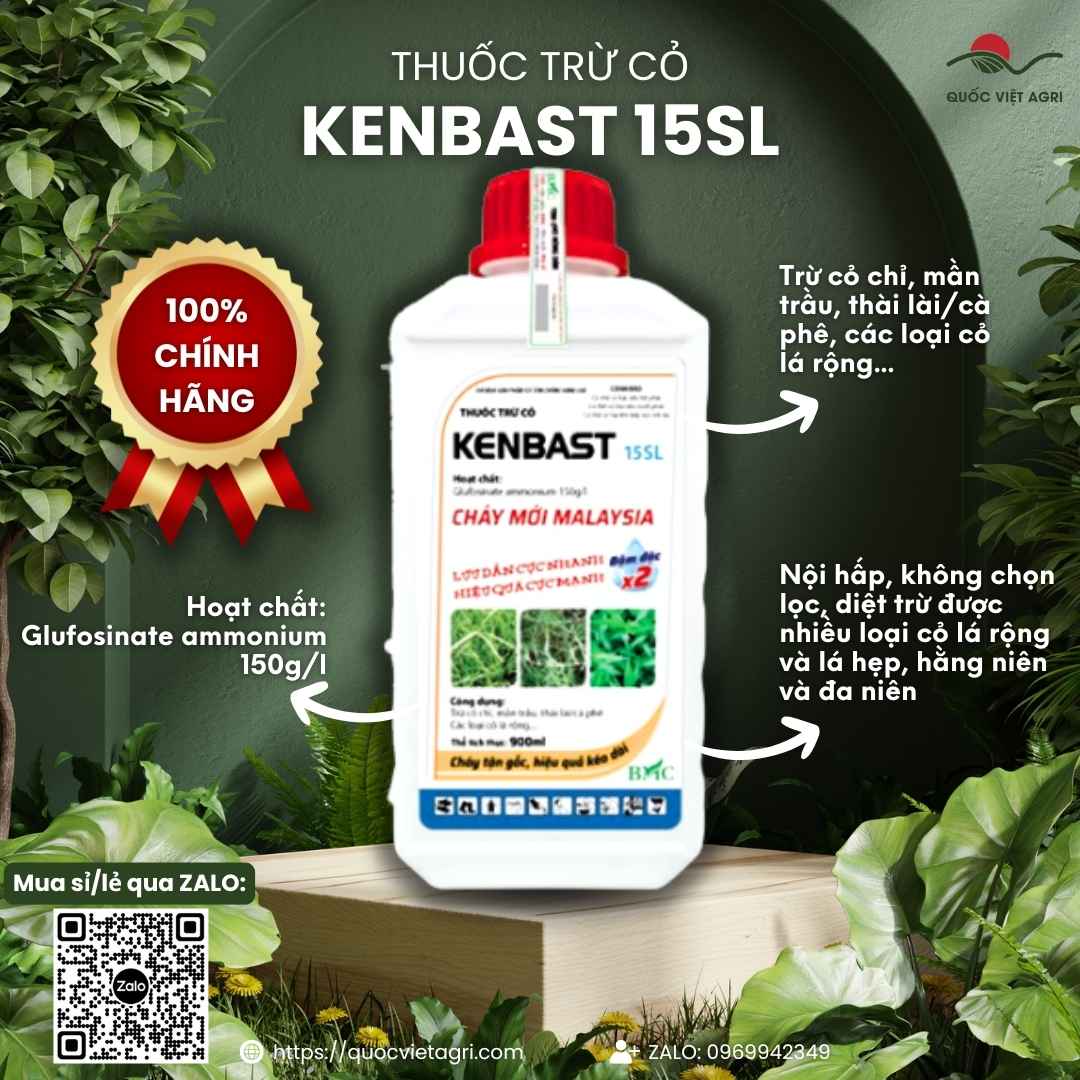 Mặt trước chai thuốc trừ cỏ Kenbast 15SL 900ml, chuyên dùng để diệt cỏ lưu dẫn, công nghệ Malaysia.