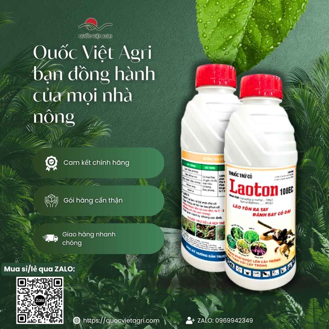 Bảng thành phần Haloxyfop-p-methyl mặt sau bao bì Laoton 900ml.