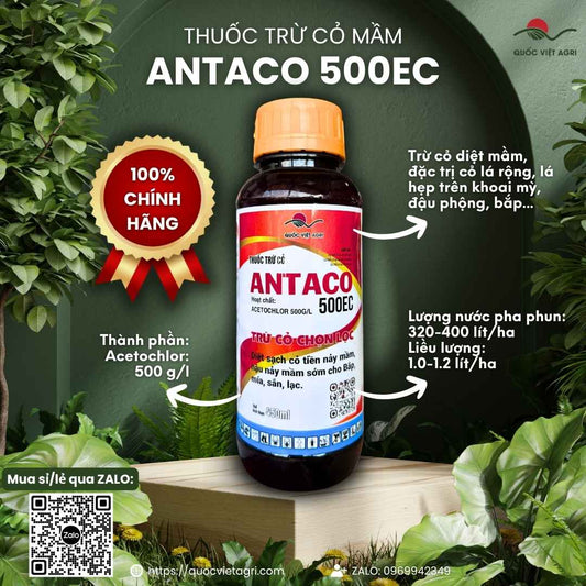 Mặt trước chai thuốc trừ cỏ mầm Antaco 500EC 450ml, chuyên dùng để diệt cỏ cho bắp, khoai mì, sản phẩm chính hãng của Quốc Việt Agri.
