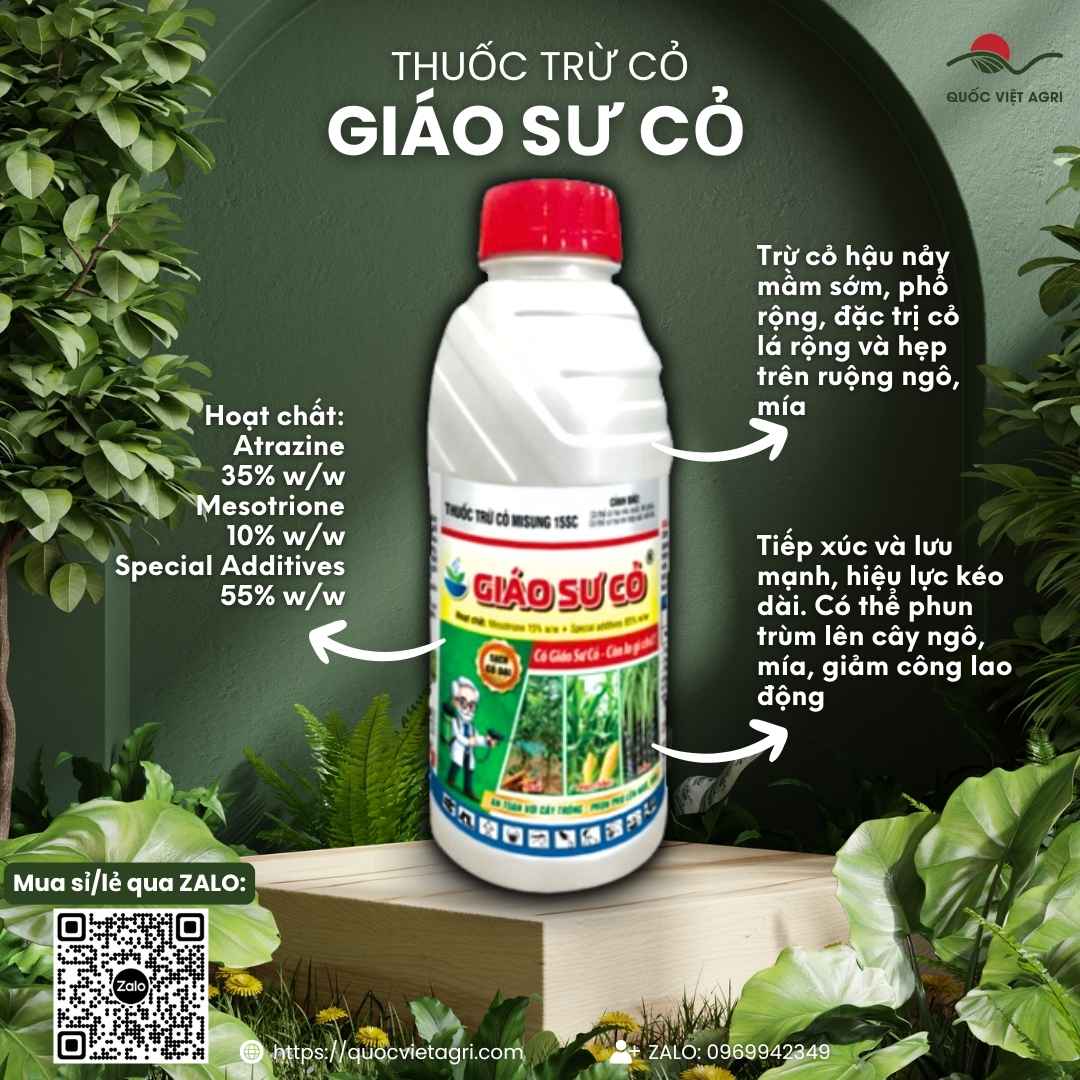 Mặt trước chai thuốc trừ cỏ Misung 15SC 800ml, chuyên dùng để diệt cỏ phun trùm cho bắp, mía, sản phẩm chính hãng Quốc Việt Agri.

