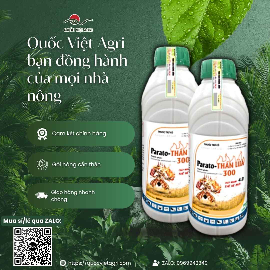 Bảng thành phần Glufosinate Ammonium 150g/l diệt cỏ cháy nhanh.