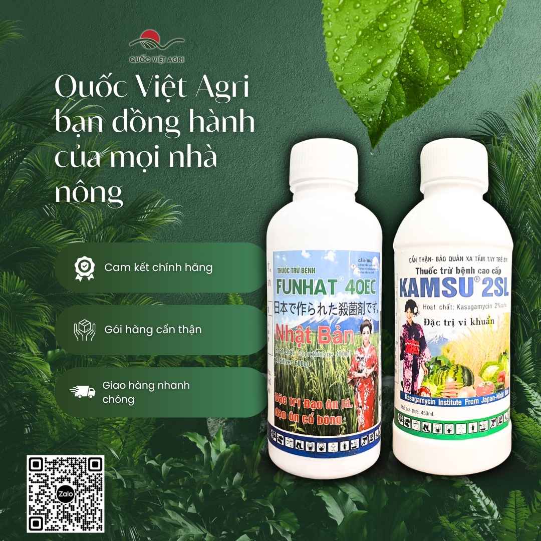 Bảng thành phần Isoprothiolane và Kasugamycin đặc trị nấm khuẩn.