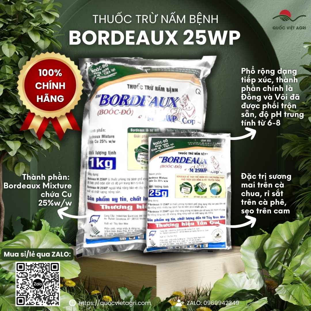Mặt trước gói thuốc trừ bệnh Bordeaux M 25WP (Boóc Đô) 1KG, chuyên dùng để trị sương mai, ghẻ sẹo, sản phẩm nhập khẩu từ Tây Ban Nha.

