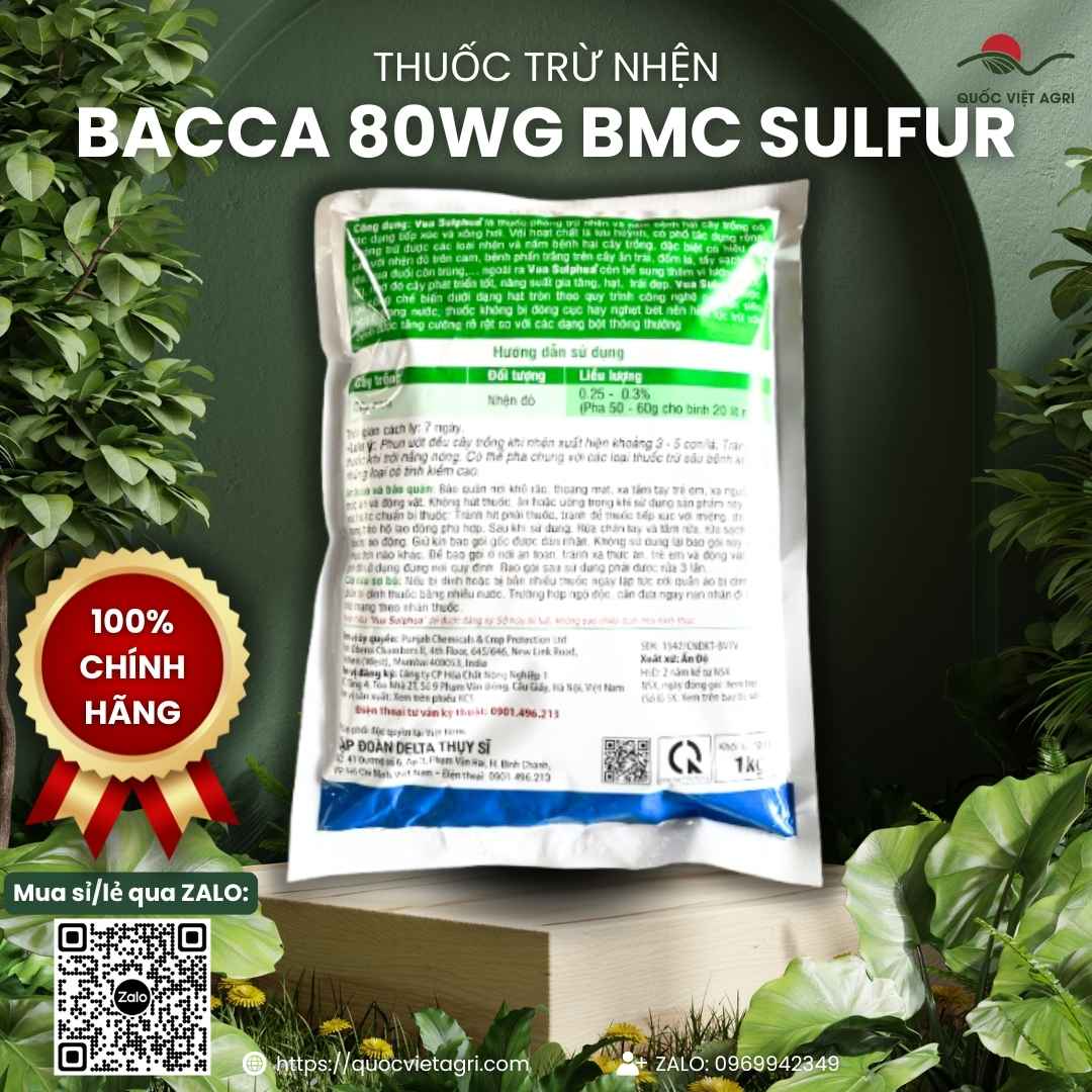 Mặt sau gói Bacca 80WG với hướng dẫn sử dụng cho hoa hồng, cam quýt và cảnh báo an toàn.