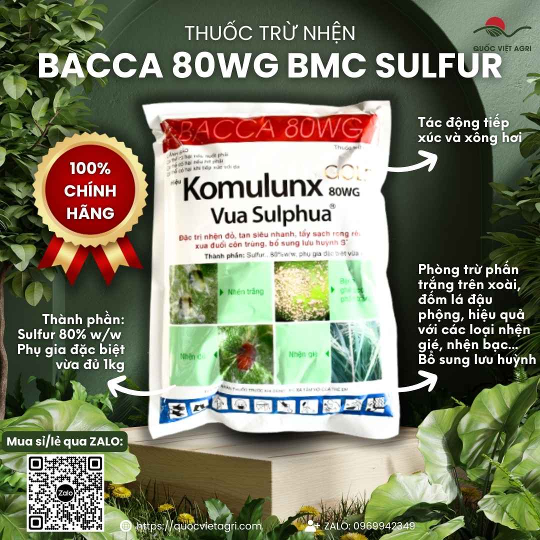 Mặt trước gói Thuốc Trừ Nhện BACCA 80WG 1kg, hoạt chất Sulfur 80%, nhập khẩu Ấn Độ, đặc trị nhện đỏ, phấn trắng.