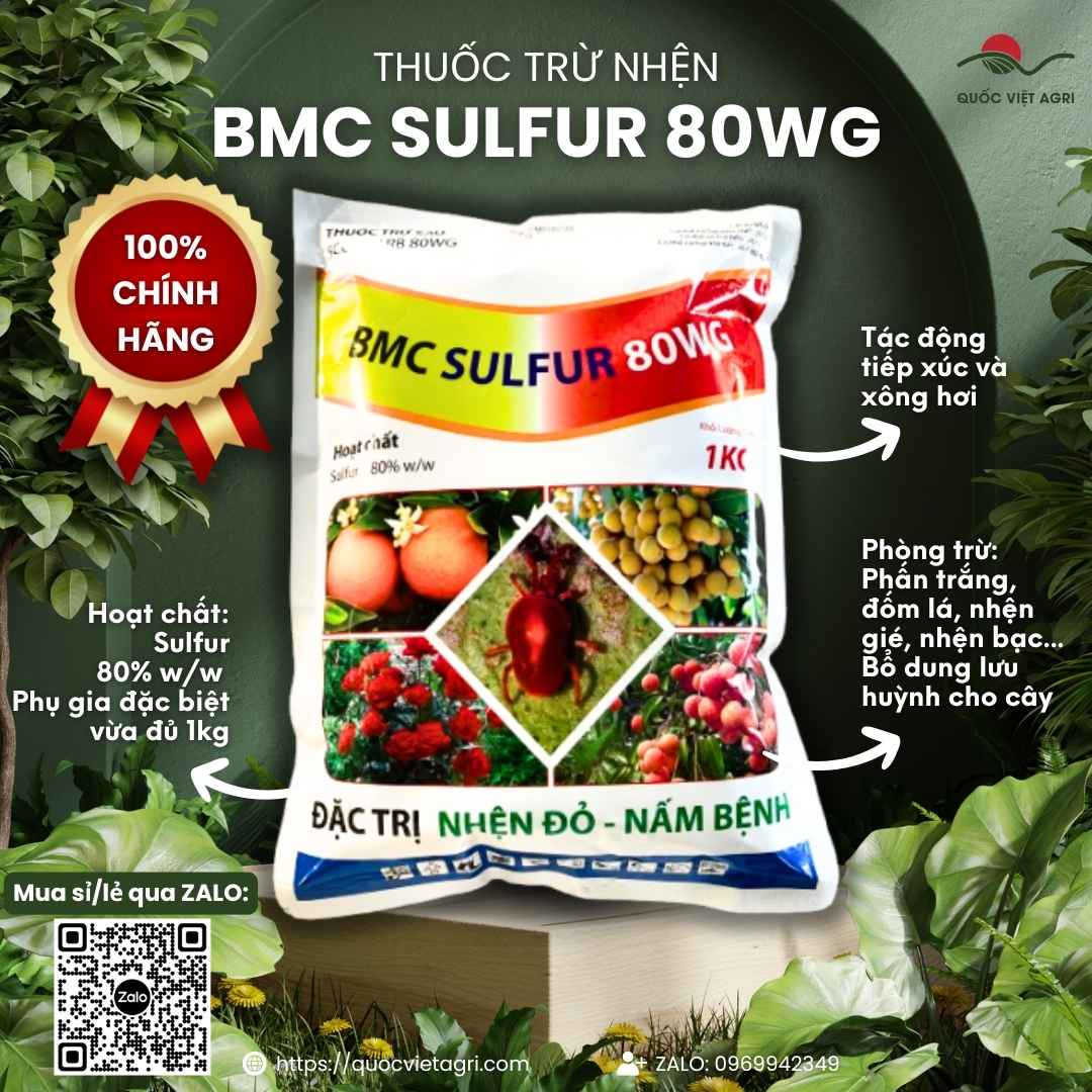 Mặt trước gói Thuốc Trừ Nhện BACCA 80WG 1kg, hoạt chất Sulfur 80%, nhập khẩu Ấn Độ, đặc trị nhện đỏ, phấn trắng.