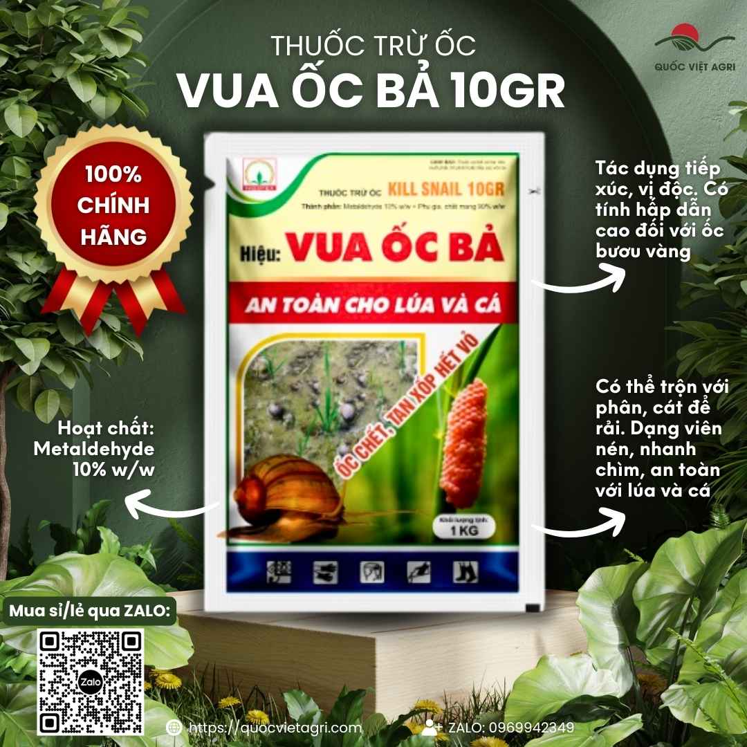 Mặt trước gói Thuốc Trừ Ốc Kill Snail 10GR 1kg, hoạt chất Metaldehyde 10%, bả mồi bén diệt ốc bươu vàng.