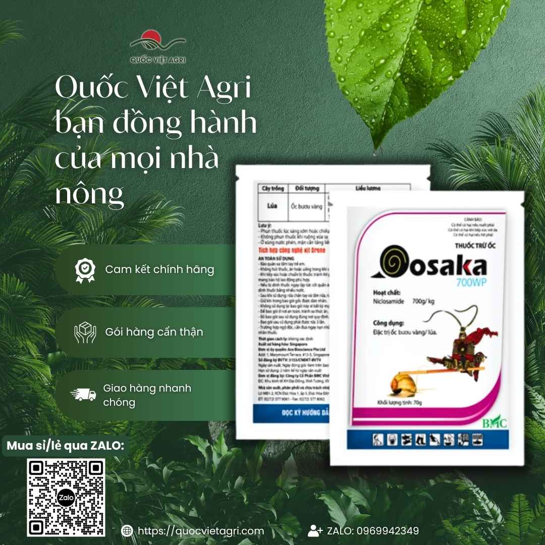 Hình ảnh tổng quan sản phẩm thuốc trừ ốc Oosaka 700WP, giải pháp diệt ốc nhanh, lan tỏa trong nước từ Quốc Việt Agri.