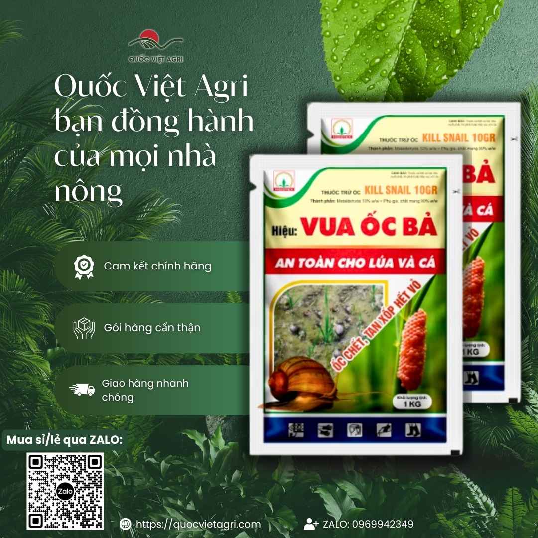 Mặt sau gói Kill Snail 10GR với hướng dẫn sử dụng rải ruộng lúa và cảnh báo an toàn.