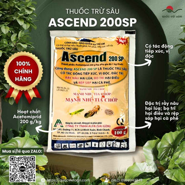 ASCEND 20SP (100g) – Thuốc Trị Rầy Nâu, Bọ Trĩ, Rệp Sáp | Chính Hãng