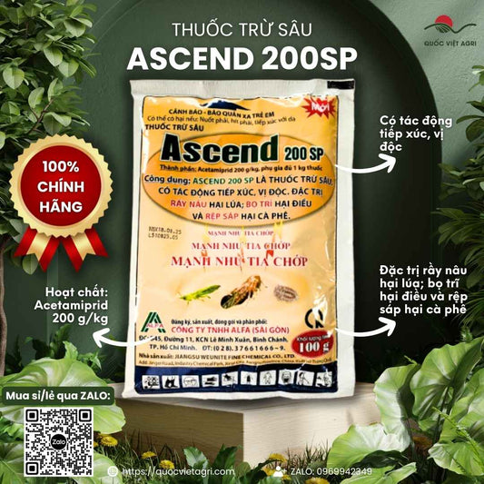 Mặt trước gói thuốc trừ sâu Ascend 20SP 100g, chuyên dùng để đặc trị rầy nâu, bọ trĩ, rệp sáp, sản phẩm chính hãng.